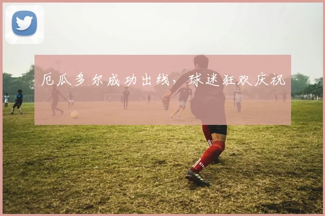 厄瓜多尔成功出线，球迷狂欢庆祝
